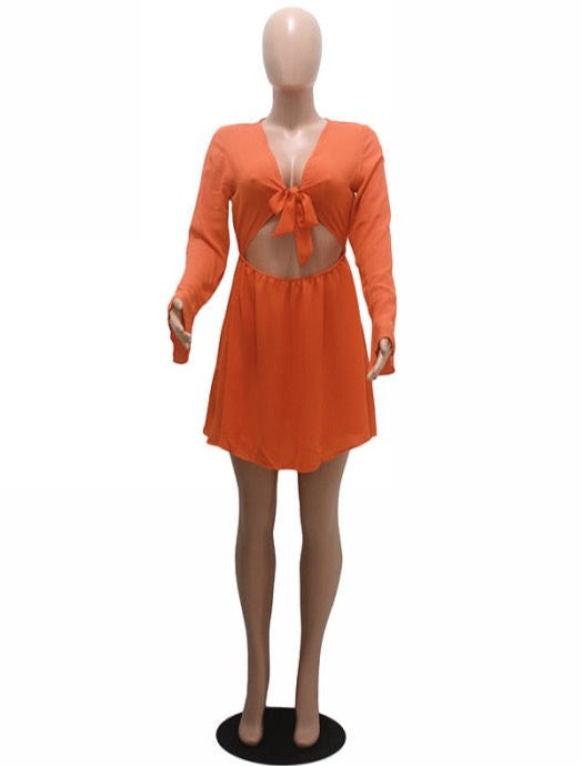 Summa Tie Mini Dress