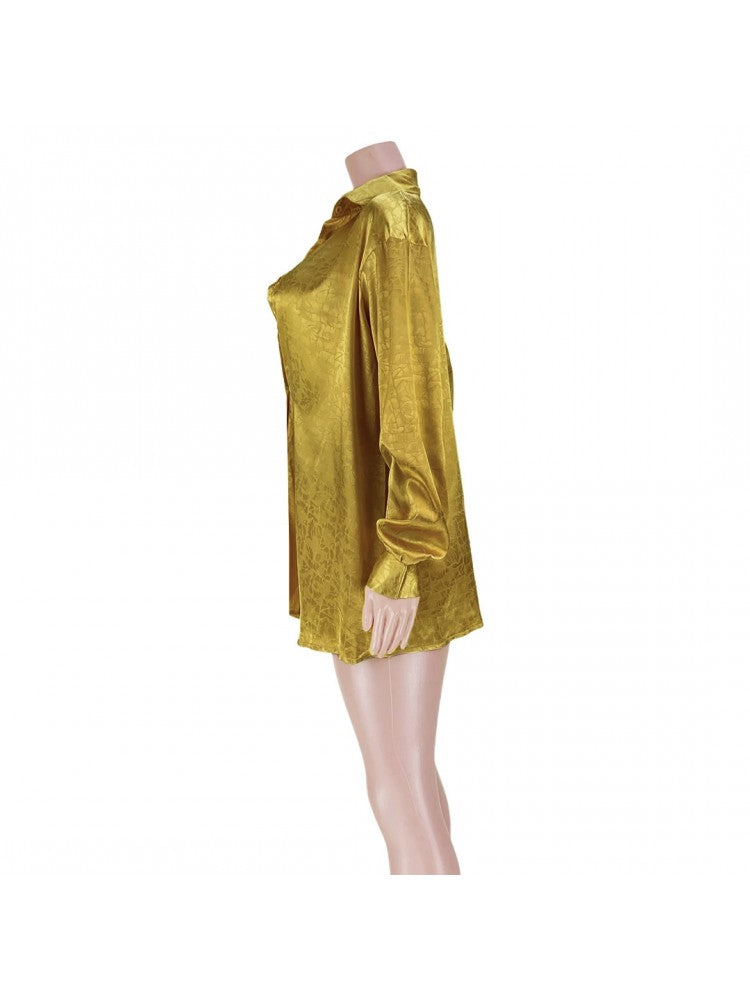 Shimmer Shirt Dress