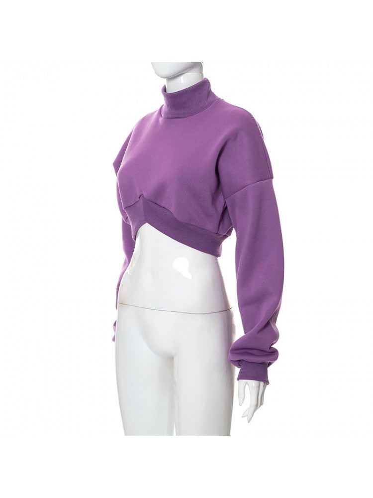 Throwback Turtle Cropped Sweater