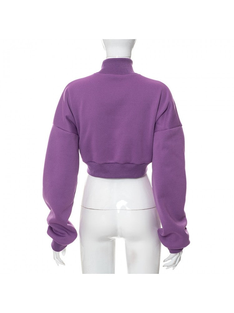 Throwback Turtle Cropped Sweater