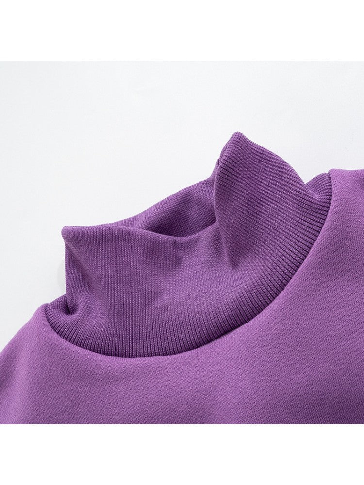 Throwback Turtle Cropped Sweater