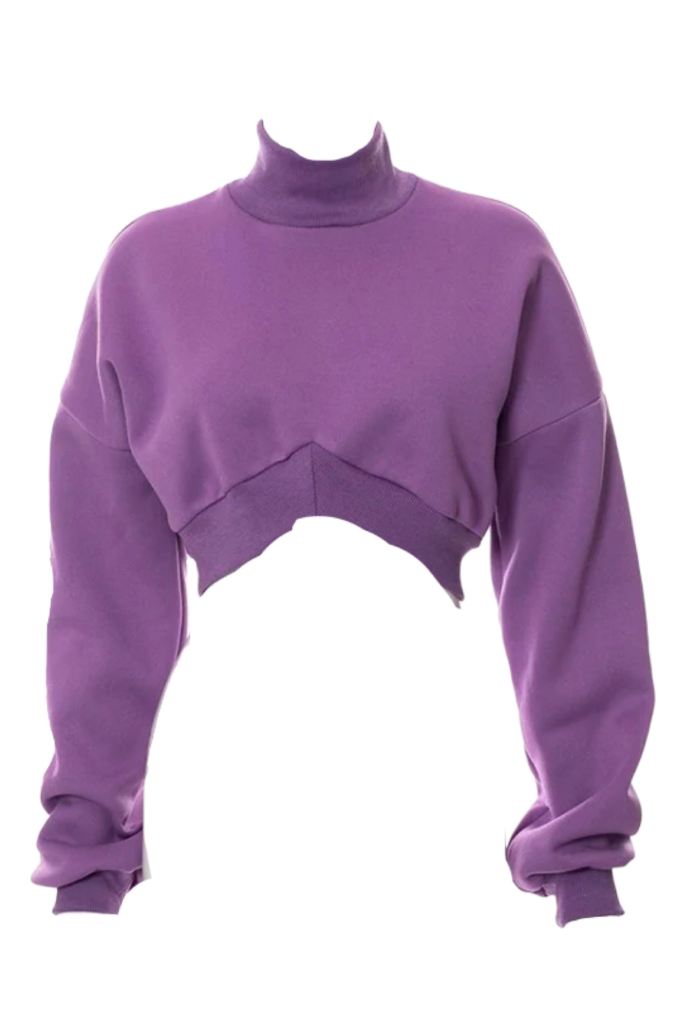Throwback Turtle Cropped Sweater