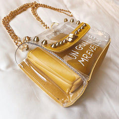 Foreign Clear Insert Bag