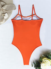 Slick Mesh Swimsuit