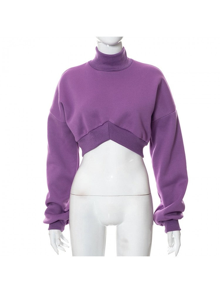 Throwback Turtle Cropped Sweater
