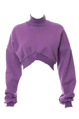 Throwback Turtle Cropped Sweater